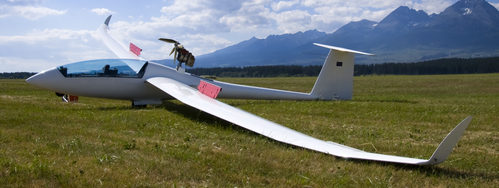 Akrobatický let větroněm